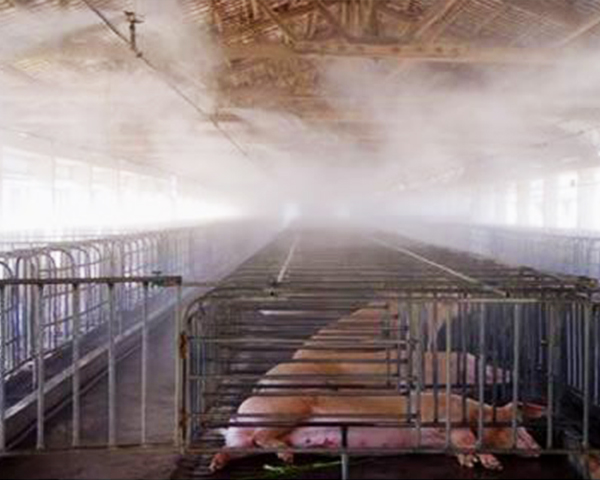 人工喷雾 人工喷雾