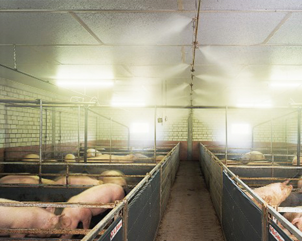 人工喷雾 人工喷雾